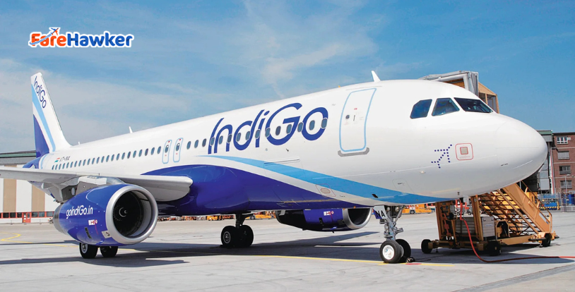 Tomorrowland Thailand 2026 — The Ultimate Group Flight & Charter Guide for Indian Fans