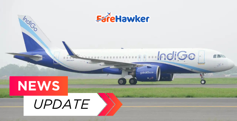 IndiGo flight status today: Check IndiGo cancelled flights at major Indian airports on December 11