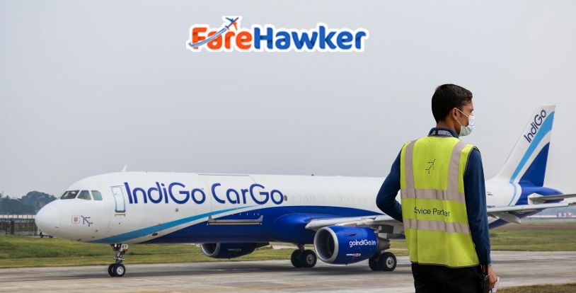 IndiGo Allocates USD 820 Million Towards Purchase Of Aviation Assets 