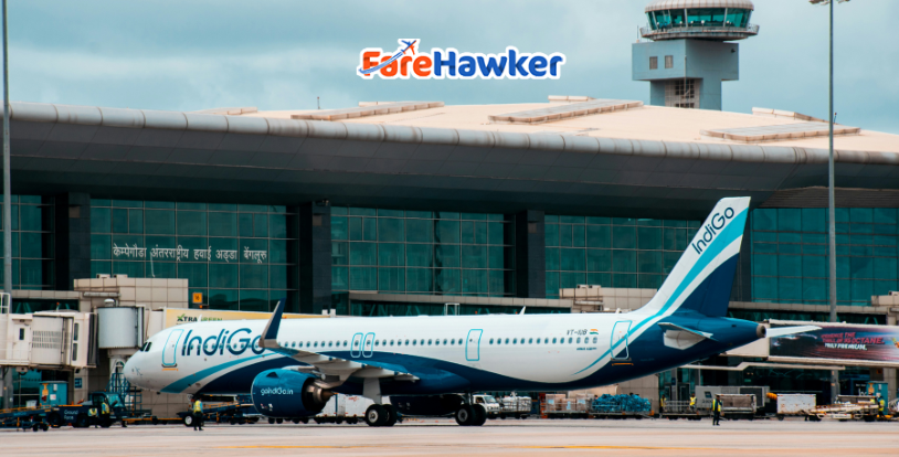 1,232 IndiGo flight cancelled in November, aviation regulator probes