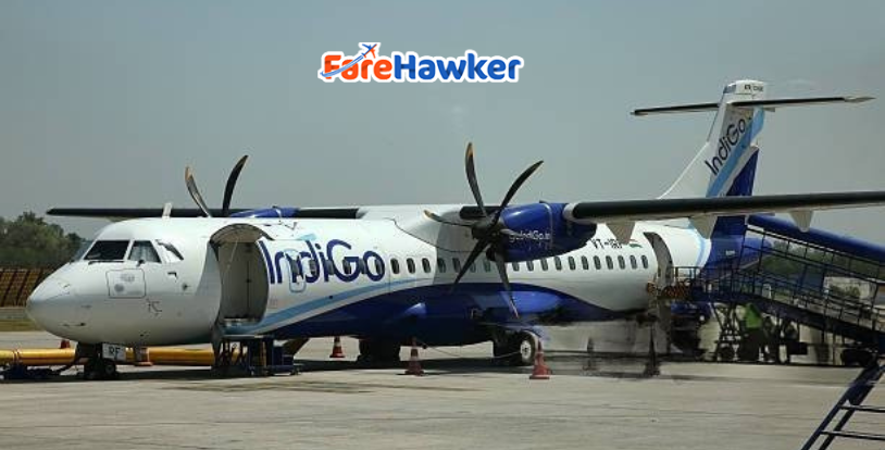 Government cuts 5% of IndiGo flights and reassigns them to other airlines