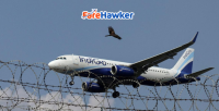 IndiGo plane damaged after being struck by bird in