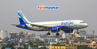 Indigo Flight Status December 16: Over 50 flights 